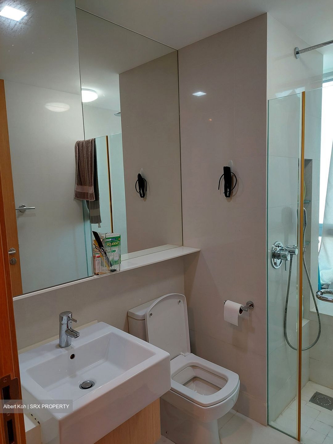 Coralis (D15), Condominium #577148201